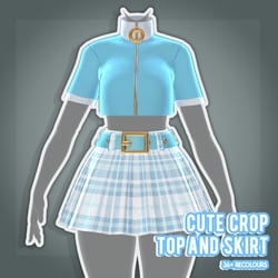 Cute Crop Top & Skirt