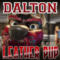 Dalton Leather Pup Garment Pack