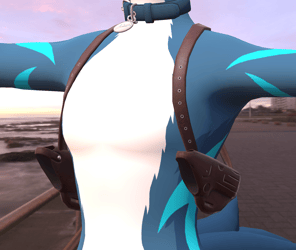 Gun Holsters
