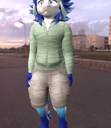 WinterBold Hoodie and Cargo Shorts