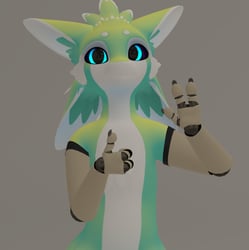 Spiri'vali Prosthetic Limbs